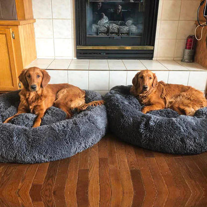 ZenNest – verbetert de slaap en vermindert stress bij honden