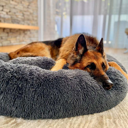 ZenNest – verbetert de slaap en vermindert stress bij honden