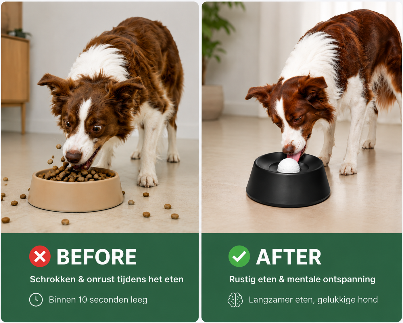 ChewCalm – voorkomt schrokken en ondersteunt een gezonde spijsvertering