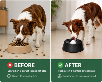 ChewCalm – voorkomt schrokken en ondersteunt een gezonde spijsvertering