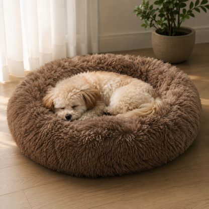ZenNest – verbetert de slaap en vermindert stress bij honden