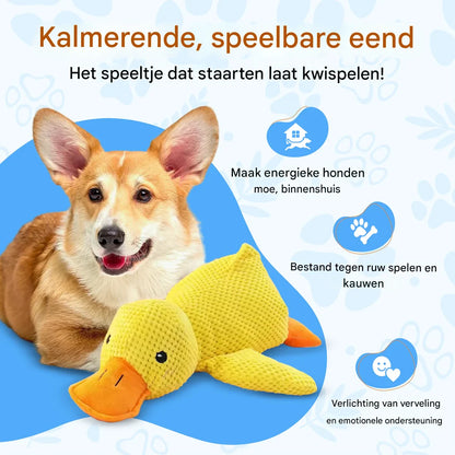 CuddleCalm – vermindert angst en geeft je hond een veilig gevoel als hij alleen is