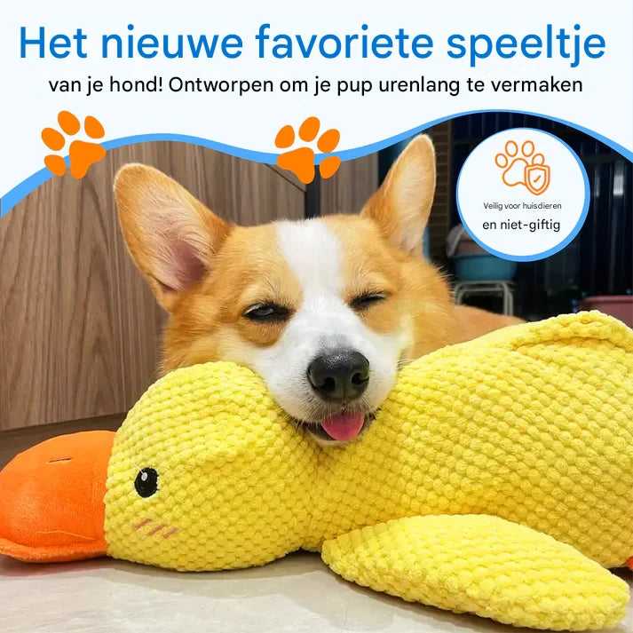 CuddleCalm – vermindert angst en geeft je hond een veilig gevoel als hij alleen is