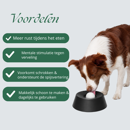 ChewCalm – voorkomt schrokken en ondersteunt een gezonde spijsvertering