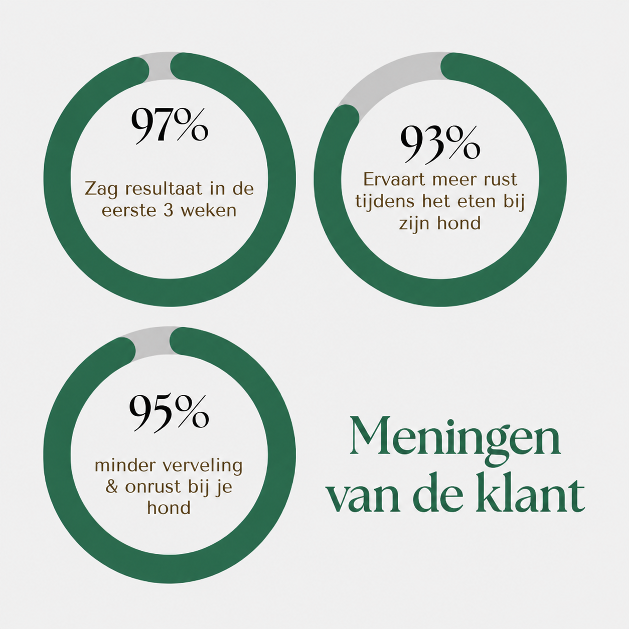 ChewCalm – voorkomt schrokken en ondersteunt een gezonde spijsvertering